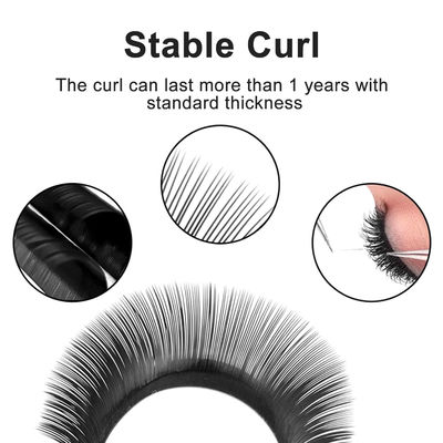 YY 래시 확장 CC/D/DD 커블 0.10mm 두께 부피 확장 8-14mm 길게 지속되는 매트 블랙 가짜 래시