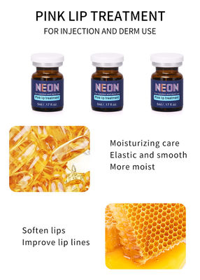 핑크 립 트리트먼트 세럼 메조테라피 립 리페어 세럼 인젝션 0.17 fl oz