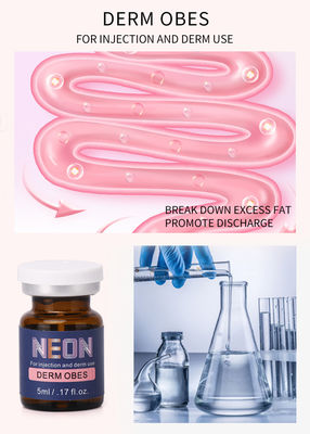 Mesotherapy 셀룰라이트 처리 주입 반대로 비만 체중을 줄이는 진피 비만
