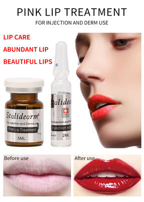 스탈리데람 브랜드 핑크색 Lip 주입 처리 혈청 피부 마이크론티드링 메소테라피 Lip 수리 본질