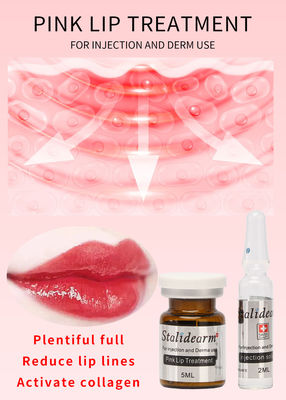 스탈리데람 브랜드 핑크색 Lip 주입 처리 혈청 피부 마이크론티드링 메소테라피 Lip 수리 본질