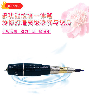 까만 영원한 메이크업 기계 100 - 240V 머릿가죽 MicrGel polishgmentation 펜