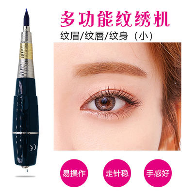 까만 영원한 메이크업 기계 100 - 240V 머릿가죽 MicrGel polishgmentation 펜