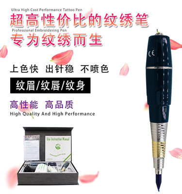 까만 영원한 메이크업 기계 100 - 240V 머릿가죽 MicrGel polishgmentation 펜