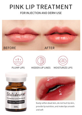 대량 판매 스탈리데암 원형 브랜드  핑크색이 Lip 치료 주사 혈청 안전하 본질 중앙이 요법 세트 5 PC / 세트