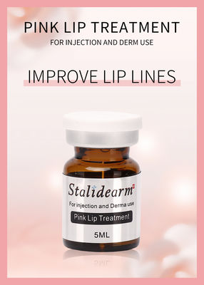 대량 판매 스탈리데암 원형 브랜드  핑크색이 Lip 치료 주사 혈청 안전하 본질 중앙이 요법 세트 5 PC / 세트
